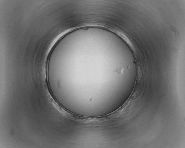 X0000113171148200909181826