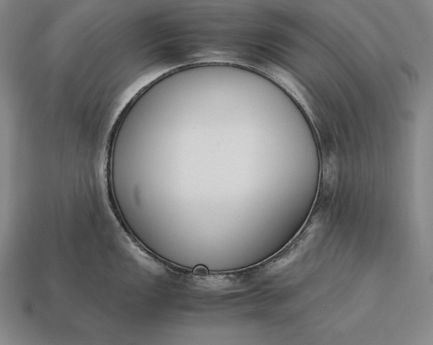 X0000113171149200909181827