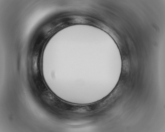 X0000113171150200909181827