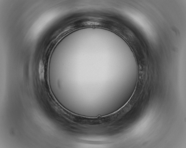 X0000113171151200909181827