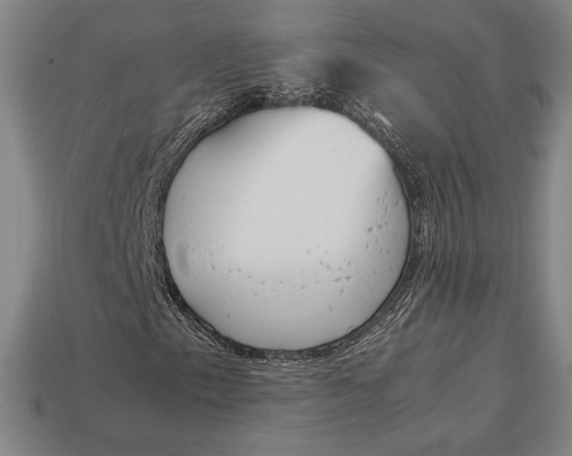 X0000113171153200909181826