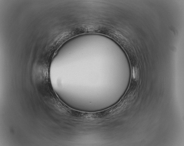 X0000113171155200909181826
