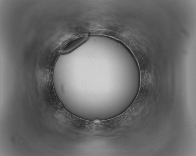 X0000113171157200909181826