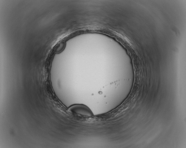 X0000113171160200909181826