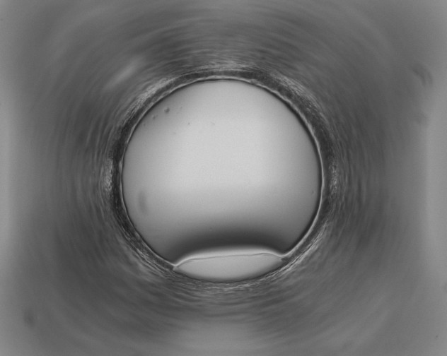 X0000113171161200909181826