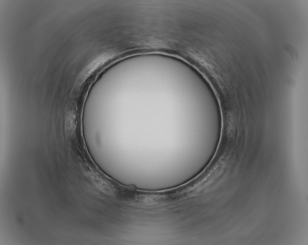 X0000113171163200909181826