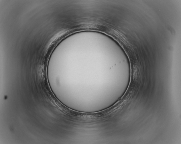X0000113171164200909181826