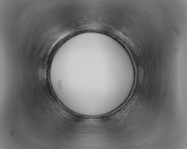X0000113171166200909181826