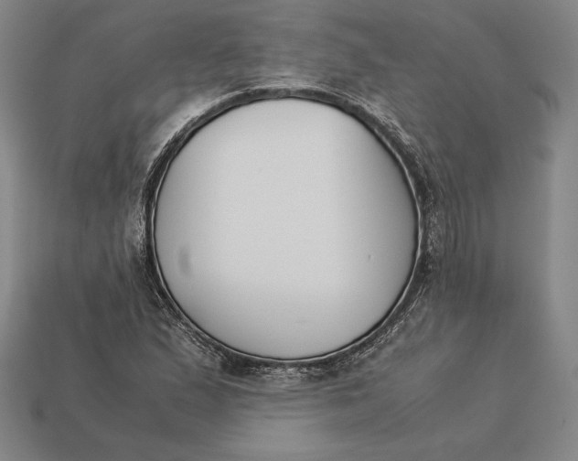 X0000113171167200909181826