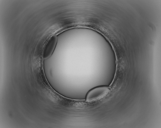 X0000113171169200909181826