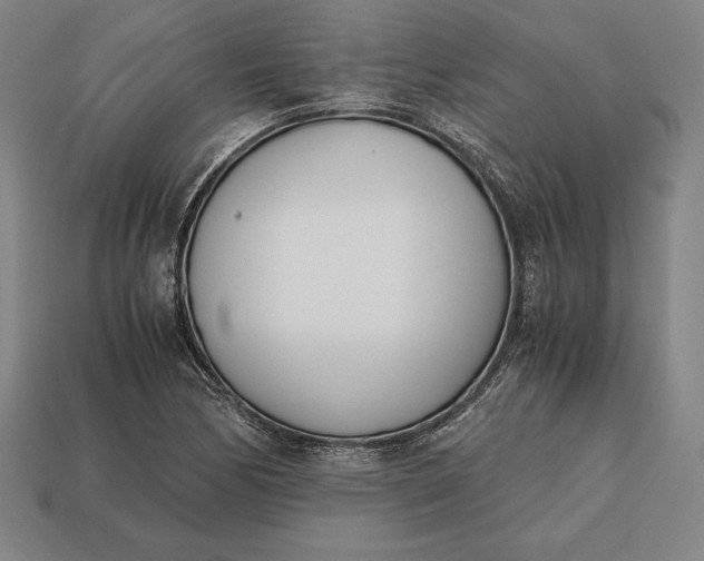 X0000113171170200909181826