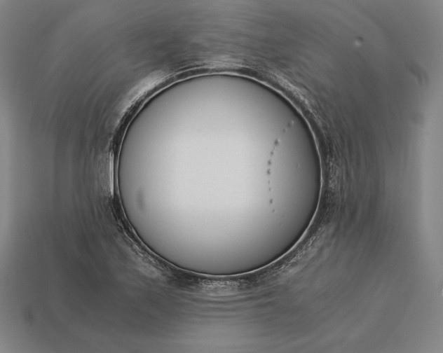 X0000113171171200909181826