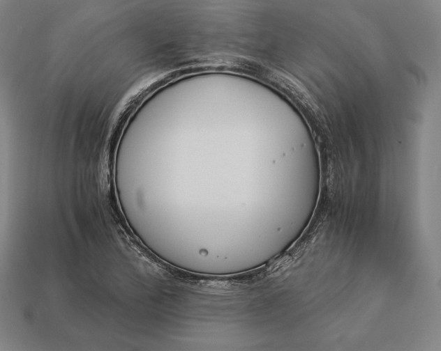 X0000113171172200909181826