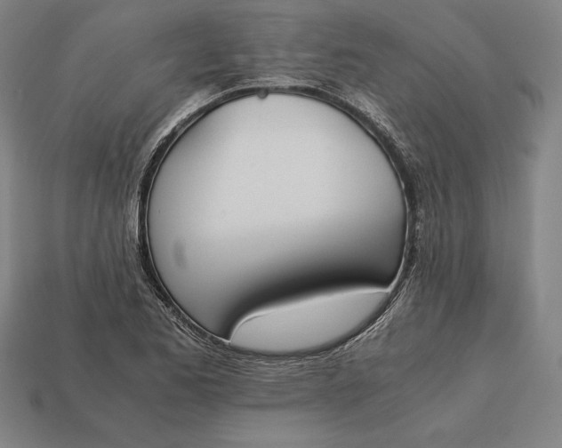 X0000113171173200909181826