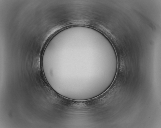 X0000113171174200909181826