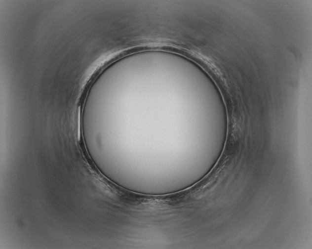 X0000113171175200909181826