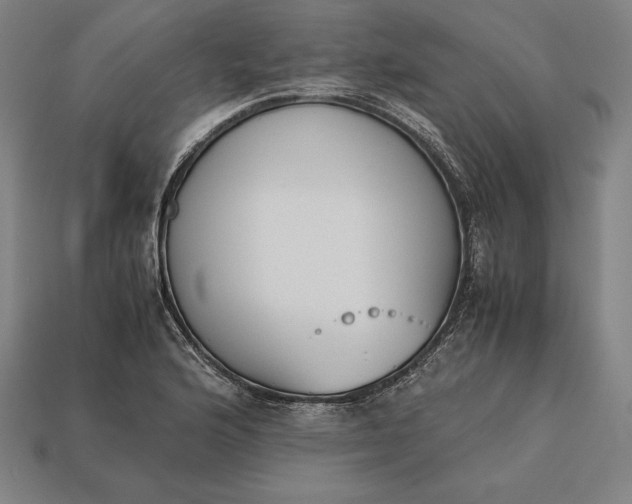 X0000113171176200909181826
