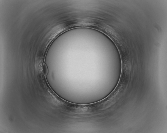 X0000113171177200909181826