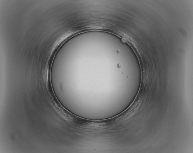 X0000113171179200909181826