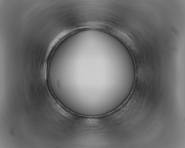 X0000113171180200909181826