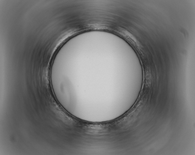 X0000113171182200909181826