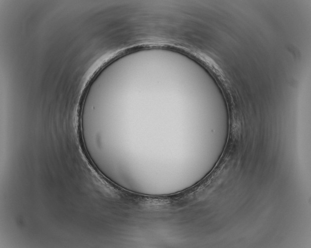 X0000113171183200909181826