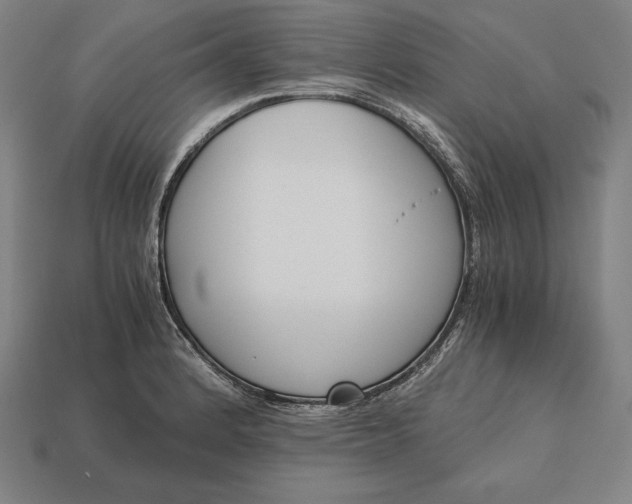 X0000113171184200909181826