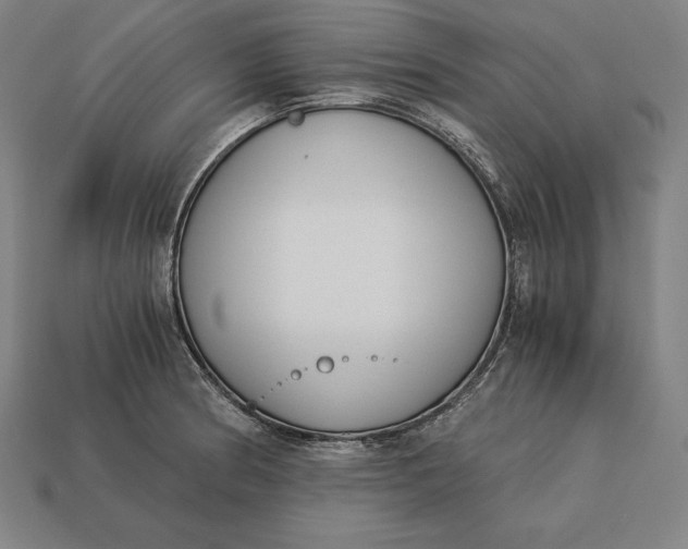 X0000113171186200909181826