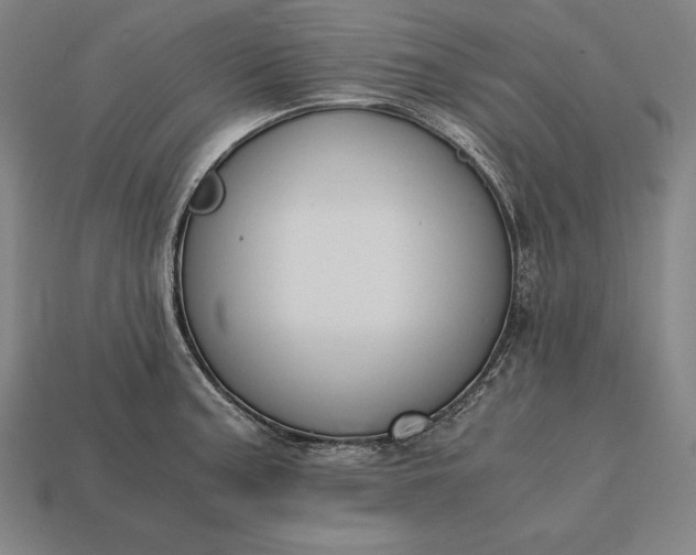X0000113171187200909181825