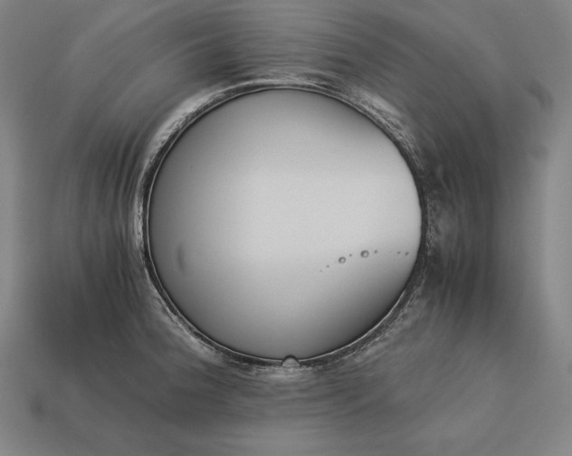 X0000113171188200909181825