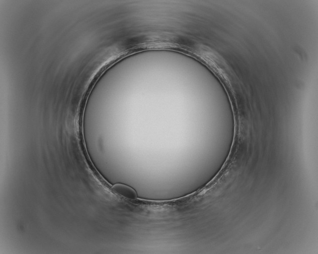 X0000113171189200909181825