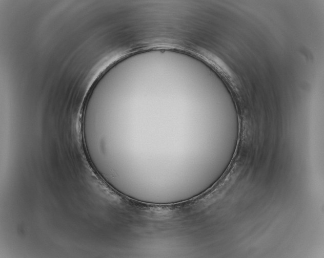 X0000113171190200909181825