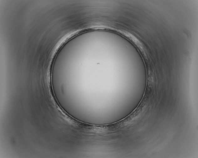 X0000113171191200909181825