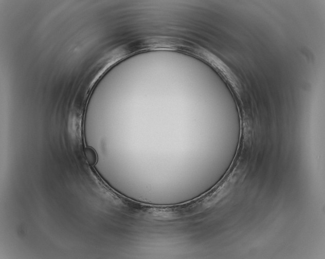 X0000113171194200909181825