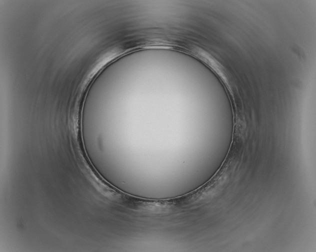 X0000113171195200909181825