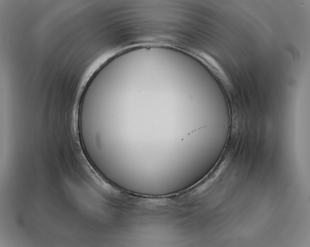 X0000113171196200909181825