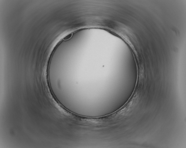 X0000113171197200909181825