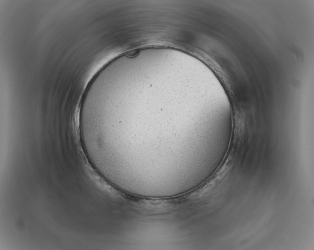 X0000113171198200909181825