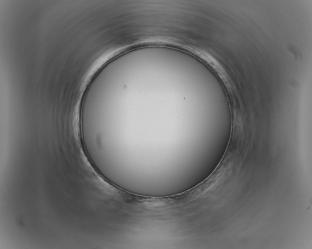 X0000113171199200909181825