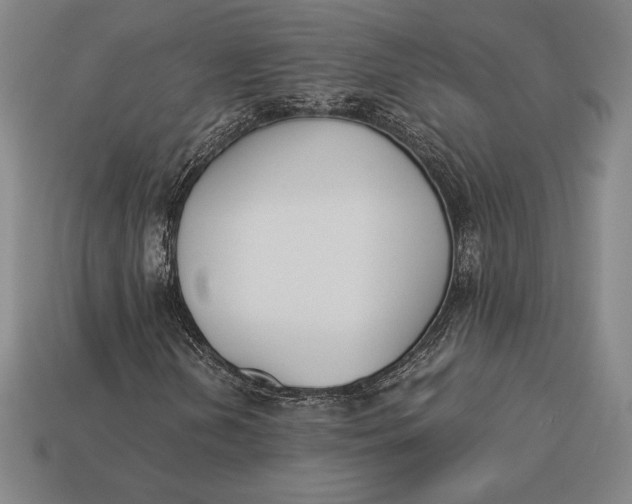 X0000113171202200909181825