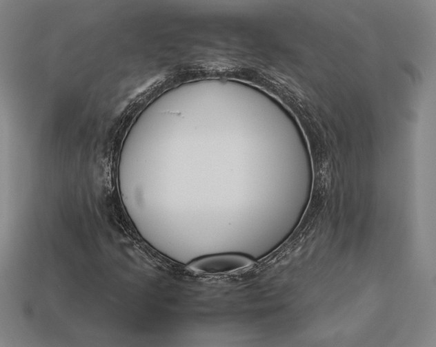 X0000113171205200909181825