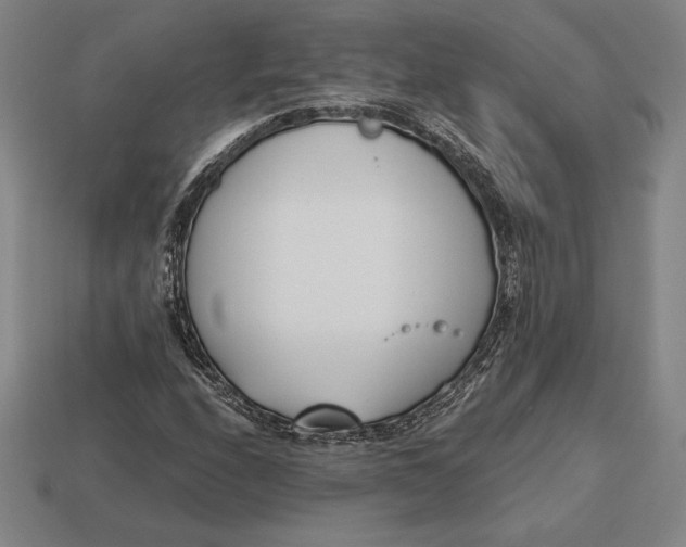 X0000113171208200909181825