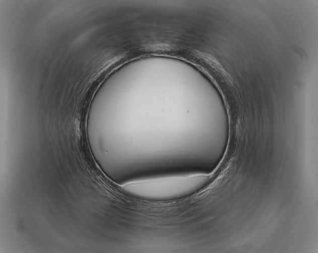 X0000113171209200909181825