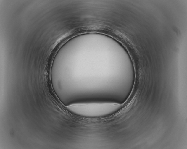 X0000113171210200909181825
