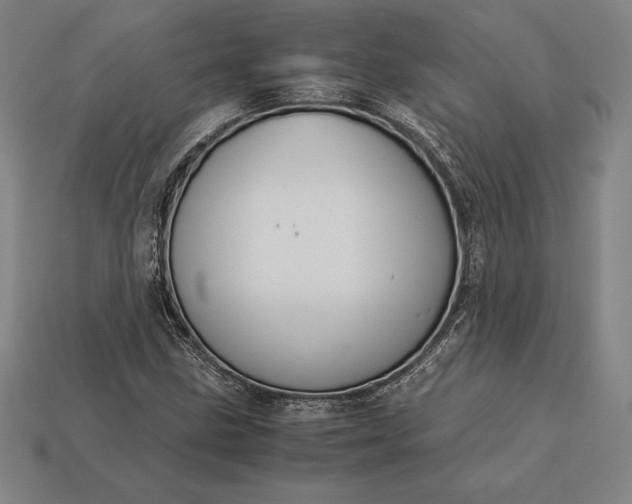 X0000113171211200909181825