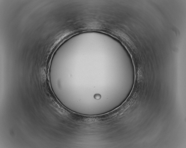 X0000113171212200909181825