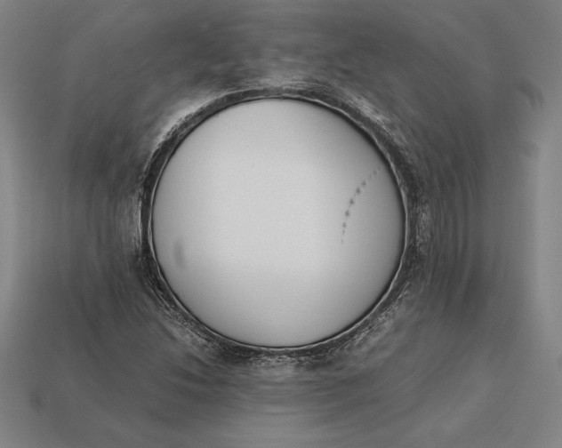 X0000113171214200909181825