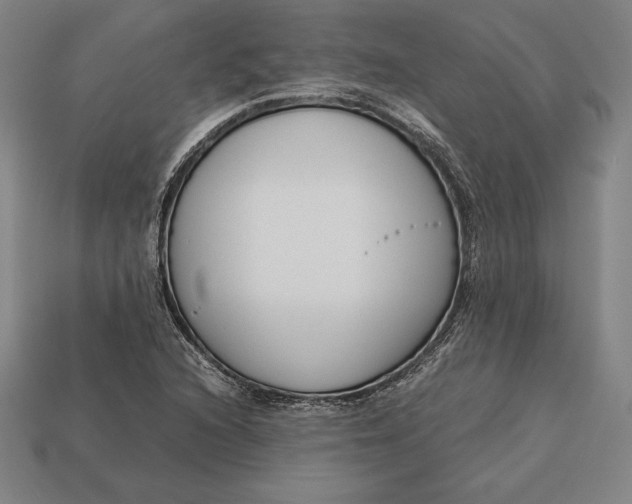 X0000113171216200909181825