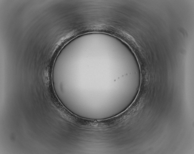 X0000113171218200909181825
