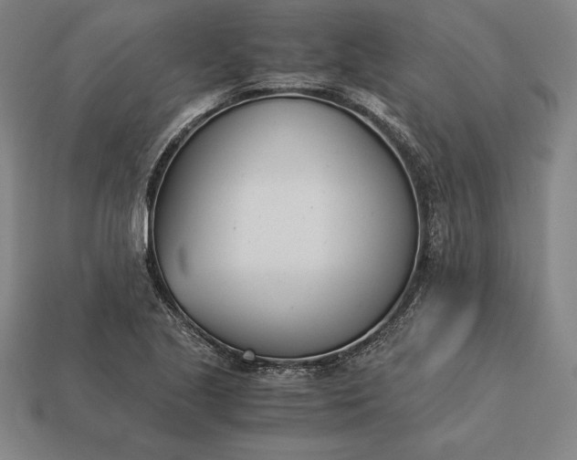 X0000113171221200909181825